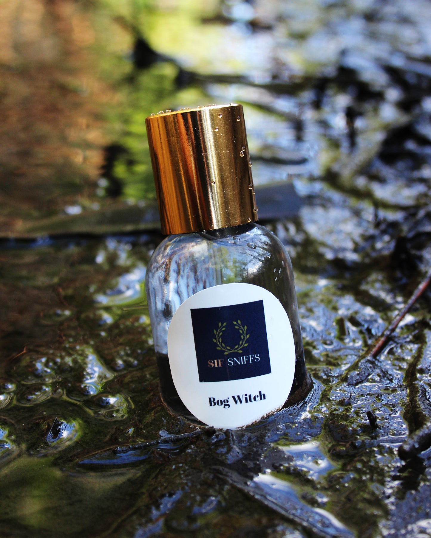Bog Witch